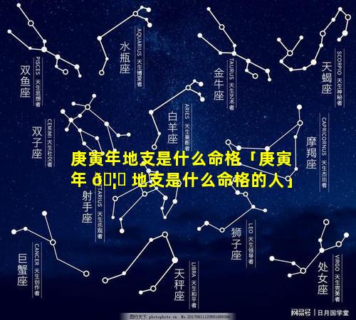 庚寅年地支是什么命格「庚寅年 🦆 地支是什么命格的人」